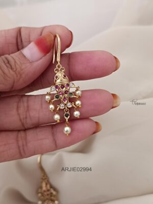 Fish Hook Earrings ARJIE02994