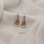 Beautiful Hook Drop Earrings